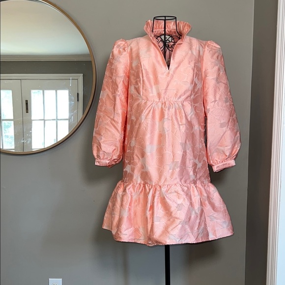 NWT Tuckernuck Bellini Fil Coupe Pink Palmerston Dress Size L - Picture 2 of 6